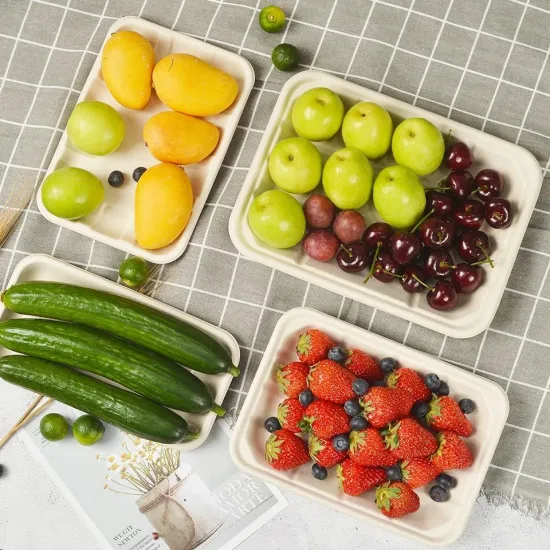 Einweg-Geschirr aus Zuckerrohr-Bagasse, Obst- und Gemüsetablett, Teller mit 5 Fächern